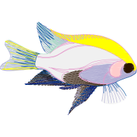 Illustration Animals Illustration Animals