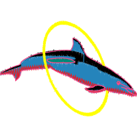 Illustration Animals Illustration Animals