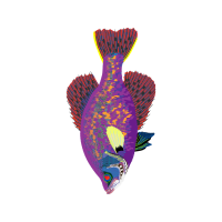 Illustration Animals