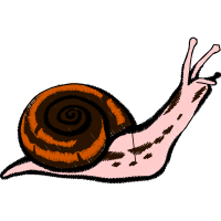 Illustration Animals