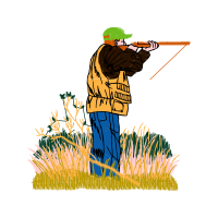 Illustration Animals Illustration Animals