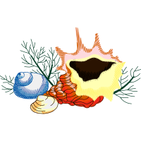 Illustration Animals