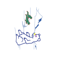 Illustration Animals Illustration Animals