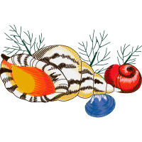 Illustration Animals