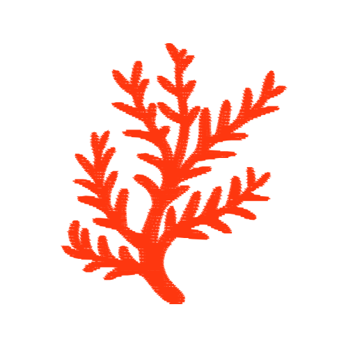 Illustration Animals Illustration Animals