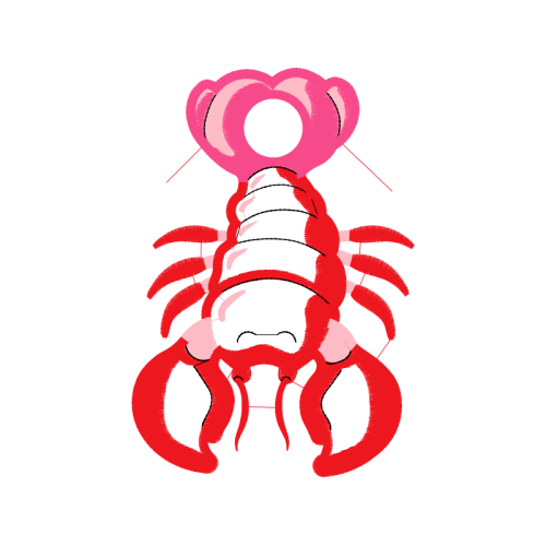 Illustration Animals Illustration Animals