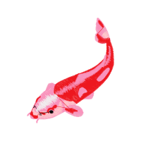 Illustration Animals