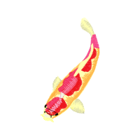 Illustration Animals