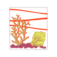 Illustration Animals