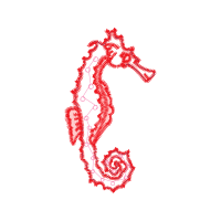 Illustration Animals