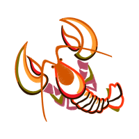 Illustration Animals