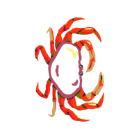 Illustration Animals