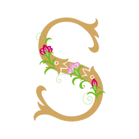 Illustration Animals