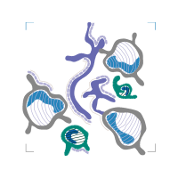 Illustration Animals Illustration Animals