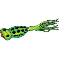 Illustration Animals