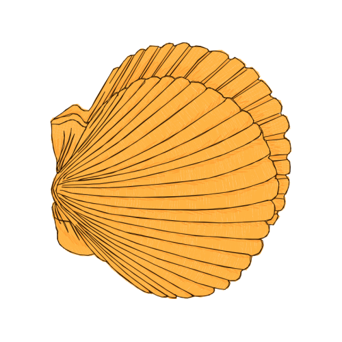 Illustration Animals Illustration Animals