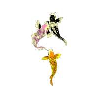 Illustration Animals Illustration Animals