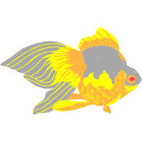 Illustration Animals Illustration Animals