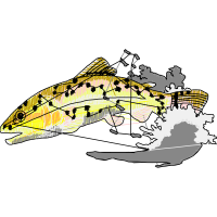 Illustration Animals Illustration Animals