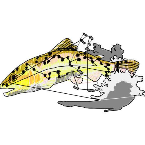 Illustration Animals Illustration Animals