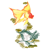 Illustration Animals