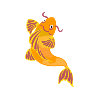 Illustration Animals Illustration Animals