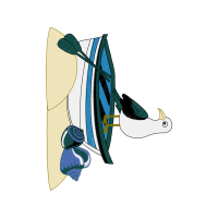 Illustration Animals