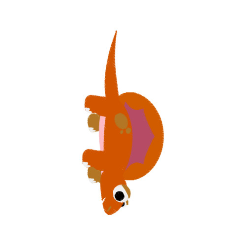 Illustration Animals Illustration Animals