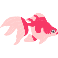 Illustration Animals