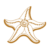 Illustration Animals Illustration Animals