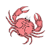 Illustration Animals