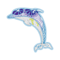 Illustration Animals Illustration Animals