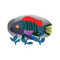 Illustration Animals