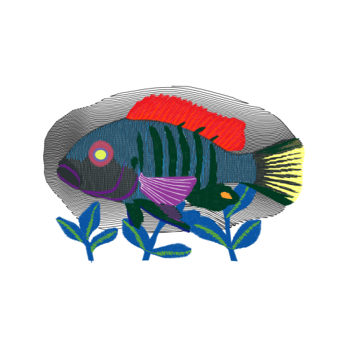 Illustration Animals Illustration Animals