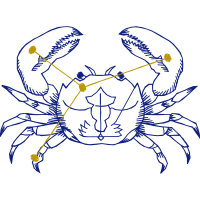 Line Art Animals Line Art Animals