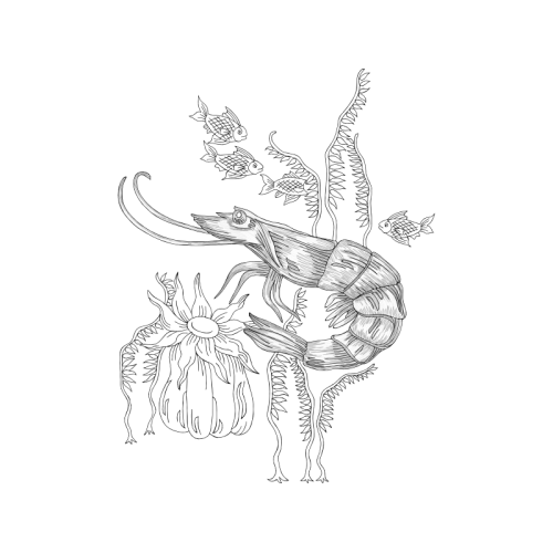 Line Art Animals Line Art Animals