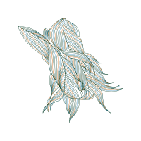 Line Art Animals Line Art Animals