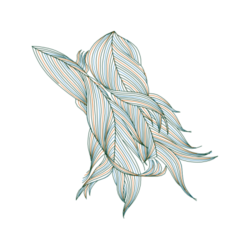 Line Art Animals Line Art Animals