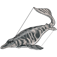 Line Art Animals Line Art Animals