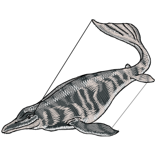 Line Art Animals Line Art Animals