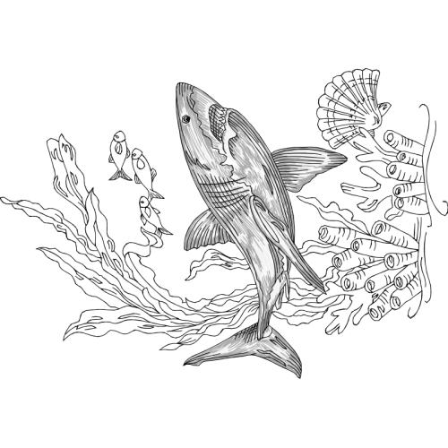 Line Art Animals Line Art Animals