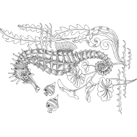 Line Art Animals Line Art Animals