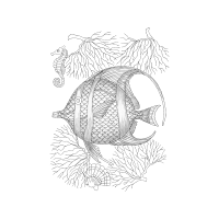 Line Art Animals Line Art Animals