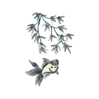 Line Art Animals Line Art Animals