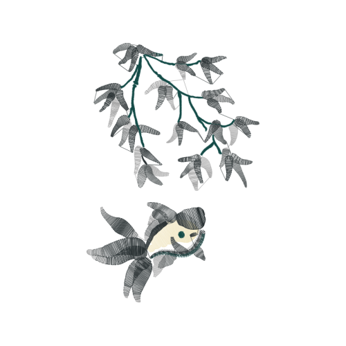 Line Art Animals Line Art Animals