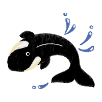 Line Art Animals Line Art Animals