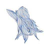 Line Art Animals Line Art Animals