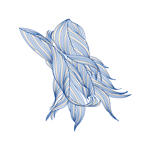 Line Art Animals Line Art Animals