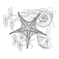 Line Art Animals Line Art Animals