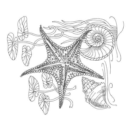 Line Art Animals Line Art Animals